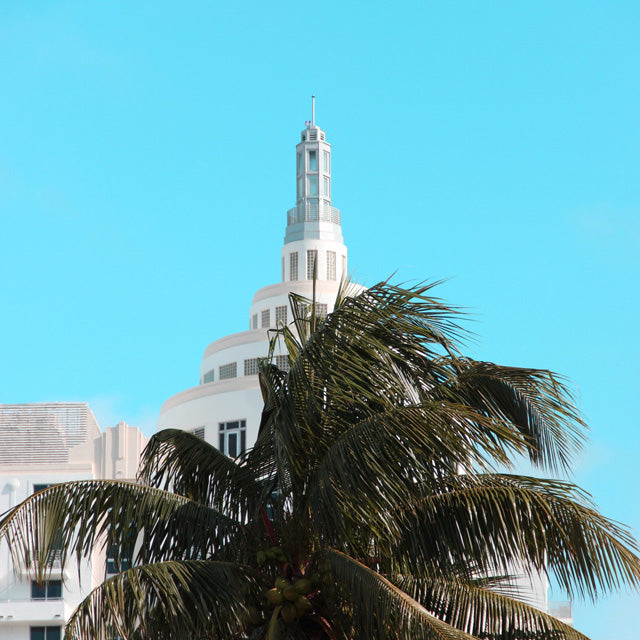 Art Scarves Travel Diaries : South Beach Miami