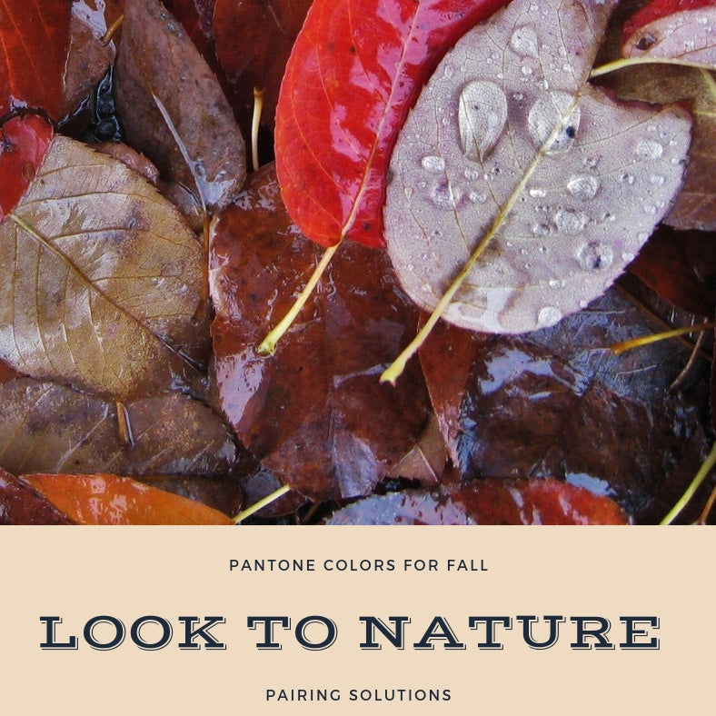 Fall Color Trends For 2018