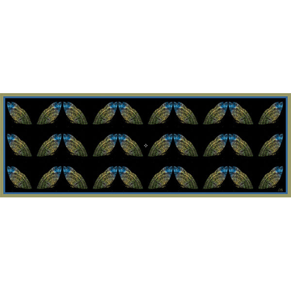Chetna Singh black butterfly print long silk scarf.
