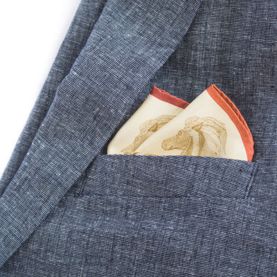 Pocket Squares And Folds